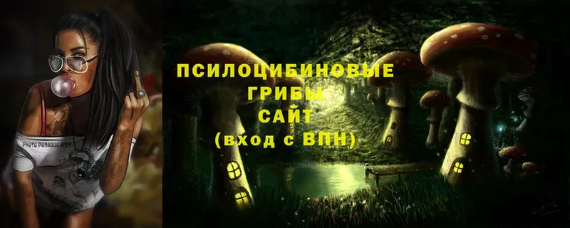 магазин продажи наркотиков  дарк нет официальный сайт  Галлюциногенные грибы GOLDEN TEACHER  Алдан  OMG tor 